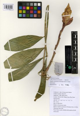 C10022947.jpg