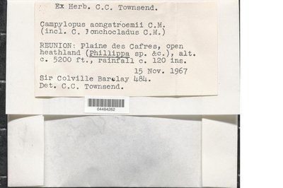 04484262.jpg