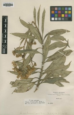 BM001024024
