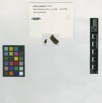 BM000983623