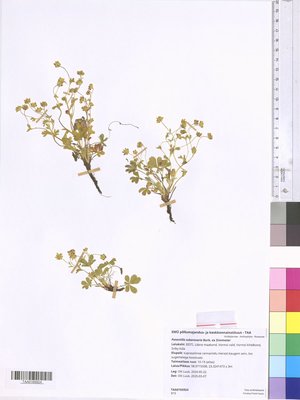 TAA0165924.tif