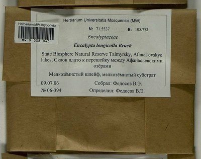 Encalypta longicolla Bruch, Moscow University Herbarium
