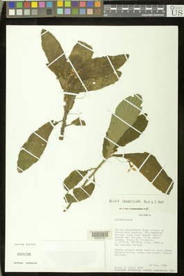 00080230.tif