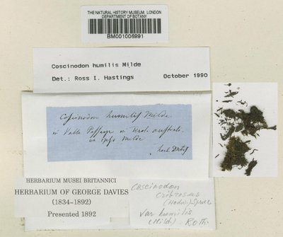 BM001006991