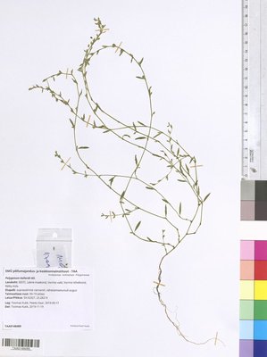 TAA0148489.tif