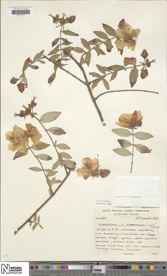 BM001202259